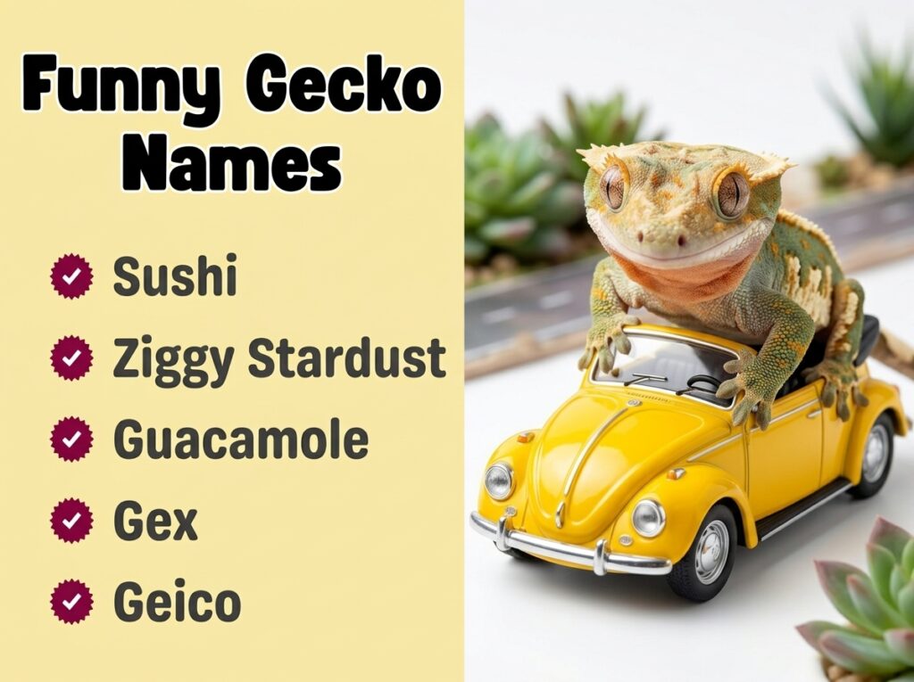 Funny Gecko Names