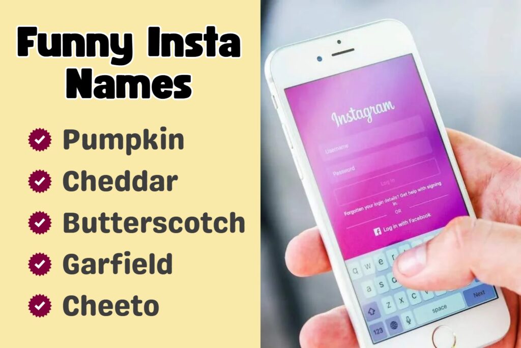 Funny Instagram Names